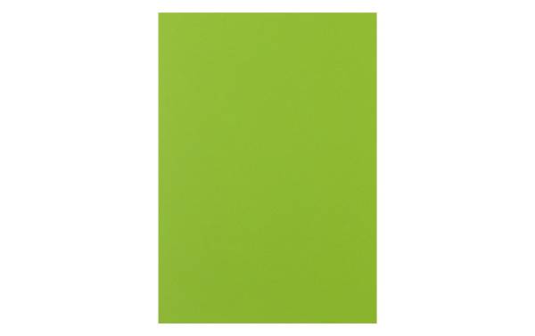 Rainbow Papier FSC A4 leuchtend grün, 160g 250 Blatt PAPYRUS 88043138