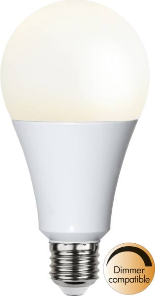 LED Leuchtmittel E27 A80 High Lumen