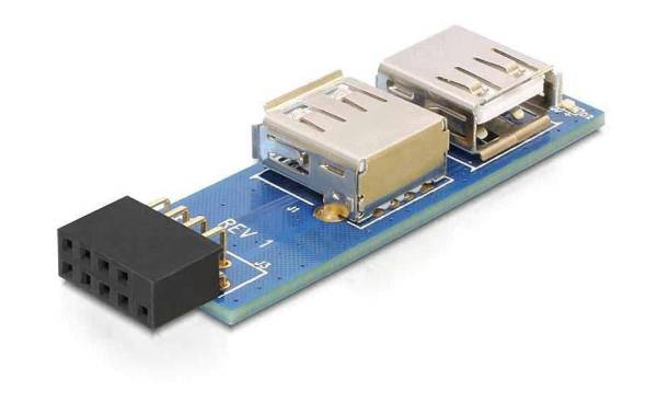 Delock USB 2.0 Adapter USB-A Buchse – USB-Pinheader