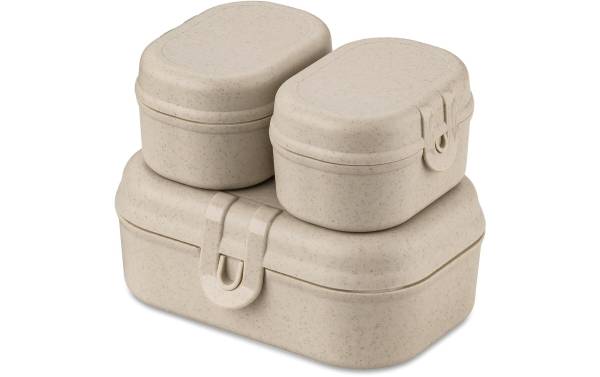Koziol Lunchbox Pascal Ready Mini Grau