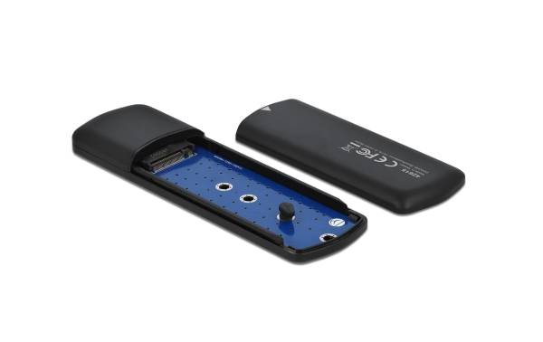 Delock Externes Gehäuse 42615 für M.2 NVMe PCIe SSD