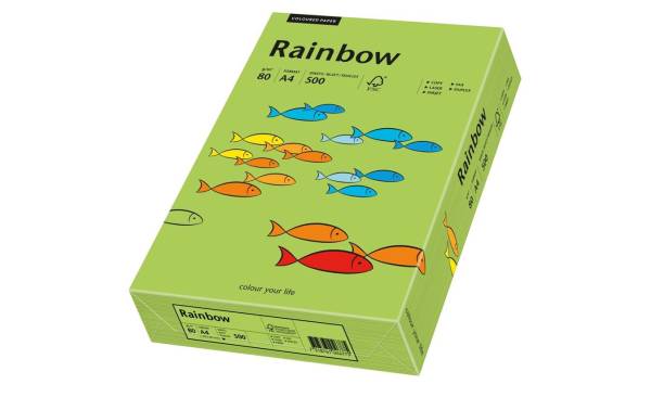 Rainbow Papier FSC A4 80g, grün 500 Blatt PAPYRUS 88042652
