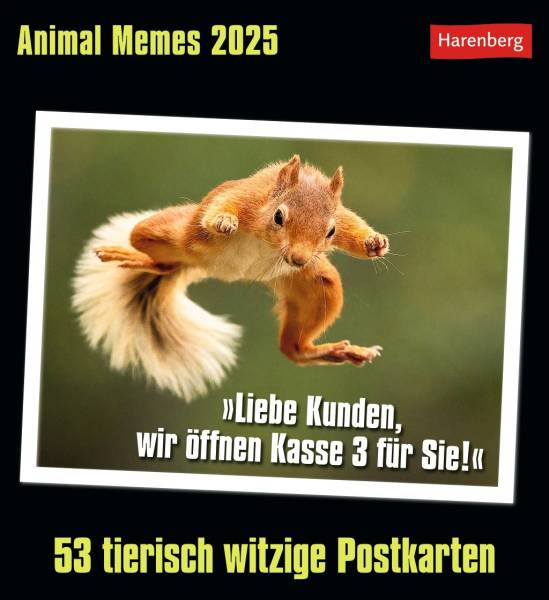 HARENBERG Postkartenkalender 2025 3310183+25 Animal Memes 16×17.5cm