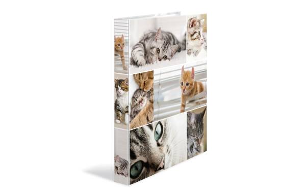 HERMA Ringbuch "Katzen", DIN A4, 4-Ring-Mechanik