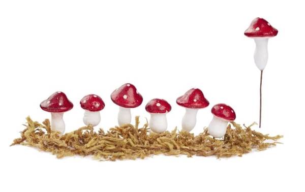 HobbyFun Mini-Figur Fliegenpilz mit Moos, 2 – 3 cm