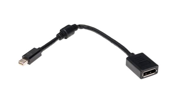 Delock Adapter Mini-DP – DP 4K, schwarz, 15cm