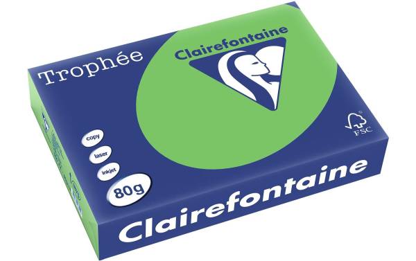 Clairalfa Multifunktionspapier Trophée, A4, 80 g/qm, maigrün