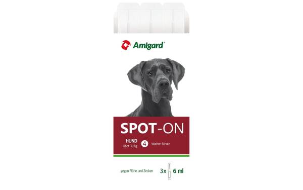 Amigard Anti-Parasit-Tropfen Spot-on Hund, 3 x 6 ml