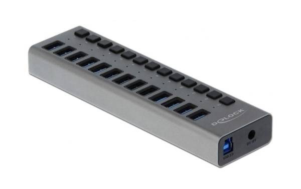 Delock USB-Hub 63738 USB 3.0 – 13x Type-A