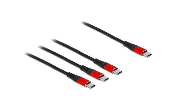 Delock USB-Ladekabel USB C – 3x USB C 0.3 m