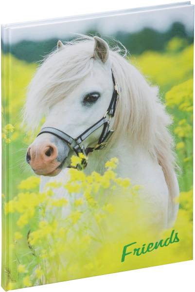 Freundebuch kleines Pony 60S PAGNA 20346-15