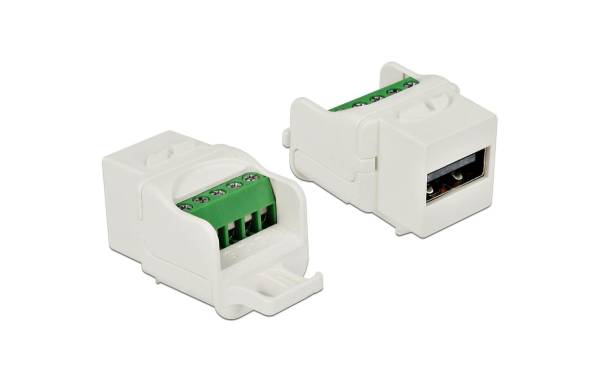 Delock Keystone-Modul USB 2.0, Buchse-Terminalblock Weiss