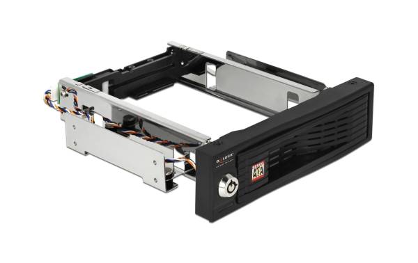 Delock 5.25-Einbaurahmen 3.5 SATA HDD geschützt, Hot-Swap