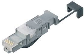 Telegärtner STX RJ45 Stecker, Kat.6, für AWG 22 – 26 Twisted