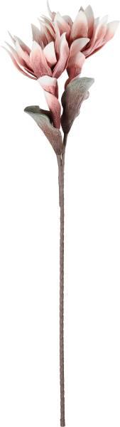 EGLO Kunstblume MOLAVE 428124 rot
