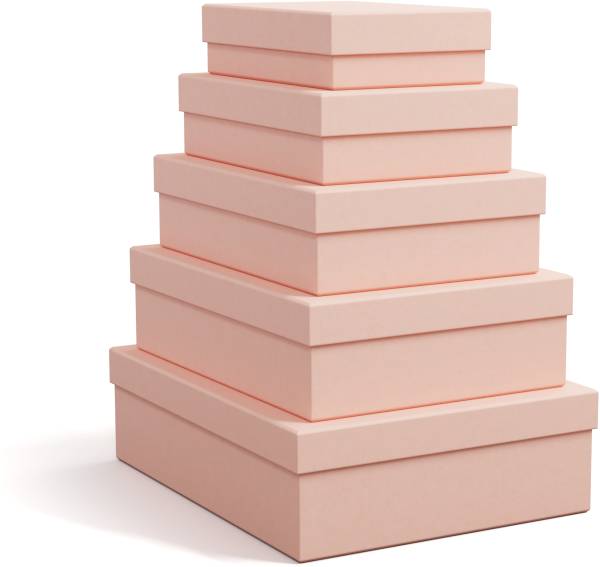 BIGSO BOX OF SWEDEN Aufbewahrungsbox Cindy 325552133 dusty pink 5er-Set