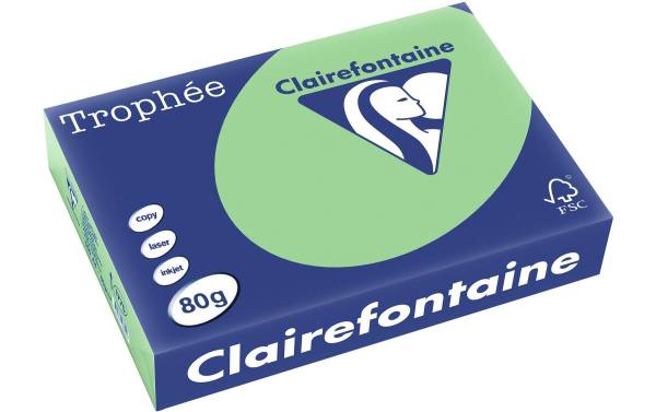 Clairalfa Universal-Papier Trophée, A4, 80 g, naturgrün