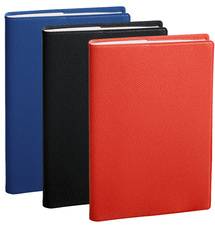 QUO VADIS Agenda de poche SAPA X, 2024, 100 x 150 mm,assorti