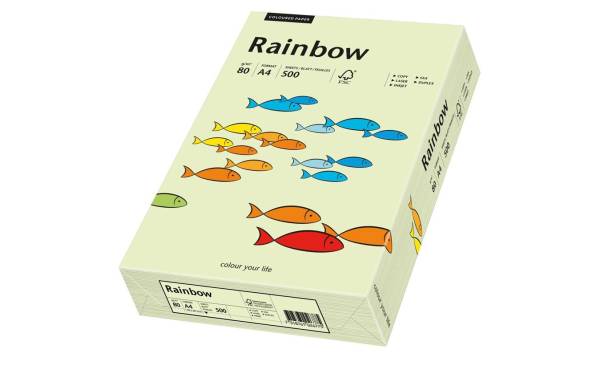 Rainbow Papier FSC A4 hellgrün, 80g 500 Blatt PAPYRUS 88042586