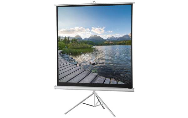 Celexon Stativleinwand Eco 184×184 cm 1:1 Weiss