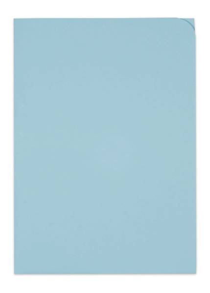 Sichthülle Ordo Discreta A4 blau, ohne Fenster 100 Stück ELCO 29466.31