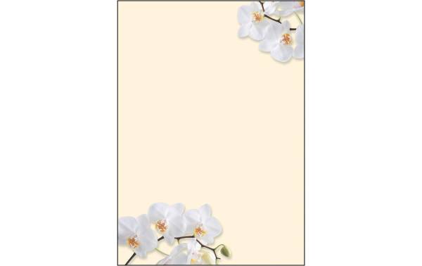 sigel Design-Papier, DIN A4, 90 g/qm, Motiv "White Orchid"