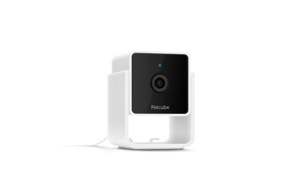 Petcube Haustierkamera Pet Cube