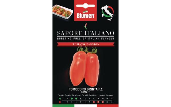 Blumen Samen Tomate Grinta F.1