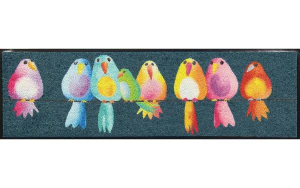 Salonlöwe Fussmatte Schuhgrösse Rainbow Birds 30 cm x 100 cm