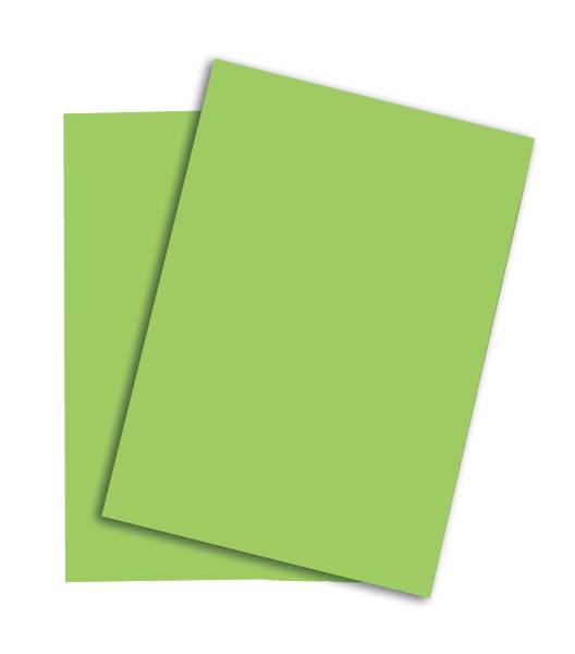 Rainbow Papier FSC A3 80g, grün 500 Blatt PAPYRUS 88042654