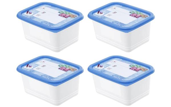 Rotho Vorratsbehälter Domino Dekor 4 Stück, 0.75 l, Transparent