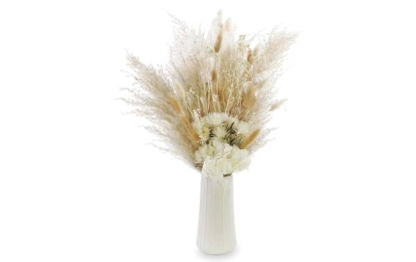 Soli Collection Trockenblumen Nadine 60 cm, Weiss