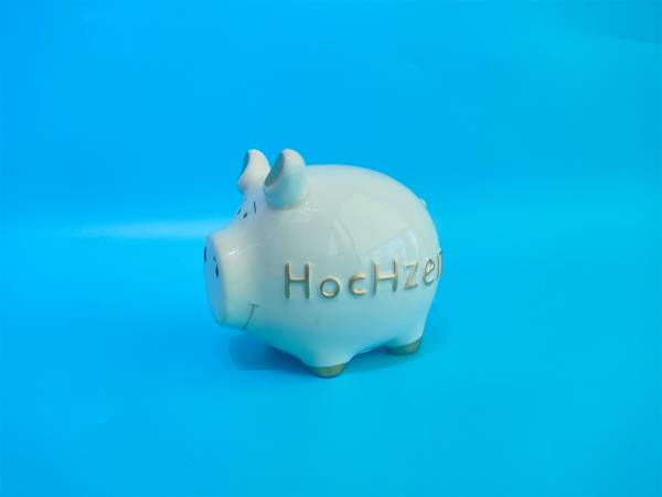 ROOST Sparkasse 11.5×8.5×10.5cm TG240704 Schwein Hochzeit