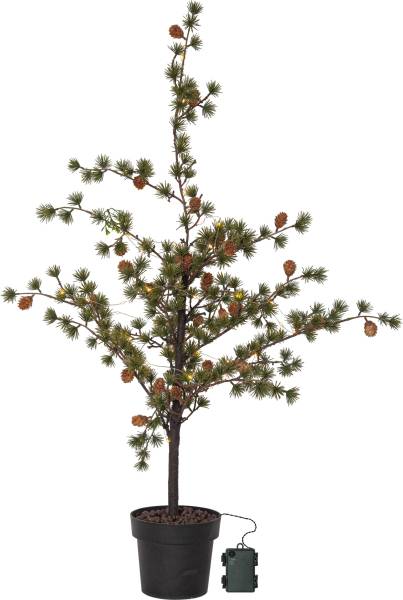 Dekorativer Baum Buxbom
