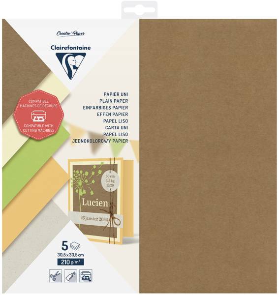 CLAIREFONTAINE Schneidepapier 30.5×30.5cm 95739C einfarbig, 210g 5 Blatt