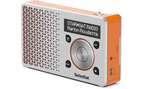 Technisat DigitRadio 1 Orange