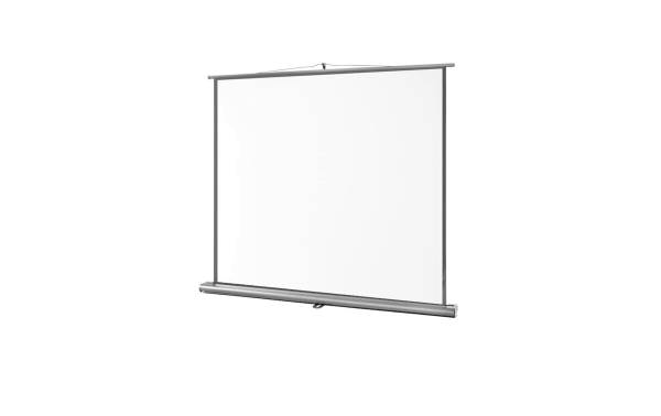 Celexon Mobile Leinwand Ultramobil Pro 200x200cm 1:1