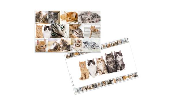 HERMA Schreibunterlage "Katzen", (B)550 x (H)350 mm