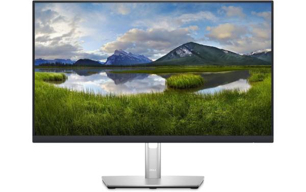DELL Monitor P2423D