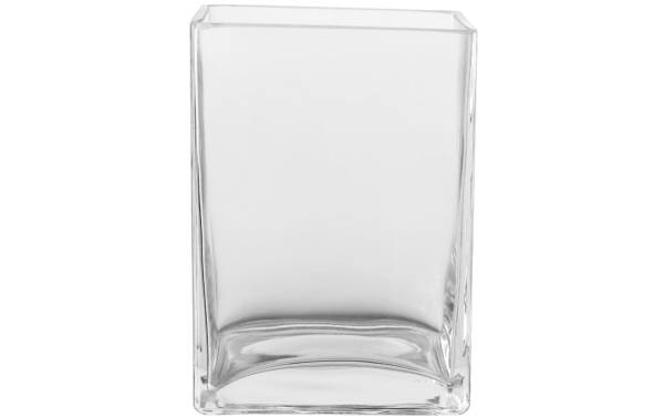 Montana Vase Flower 15 cm Transparent
