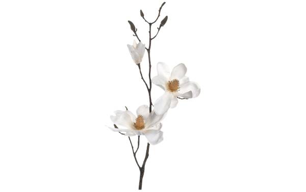 Leonardo Kunstblume Magnolienzweig Vernazza 40 cm, 12 Stück