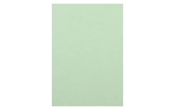Rainbow Papier FSC A4 hellgrün, 120g 250 Blatt PAPYRUS 88043109
