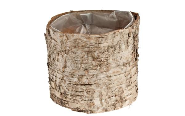 Opiflor Birkentopf Crusty, 10 cm Nature