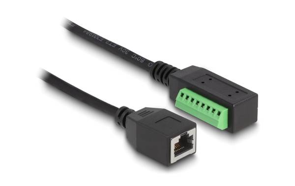 Delock Terminalblock – RJ45 Kabel 1 Stück