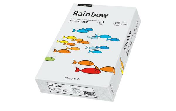 Rainbow Papier FSC A4 hellgrau, 80g 500 Blatt PAPYRUS 88042784