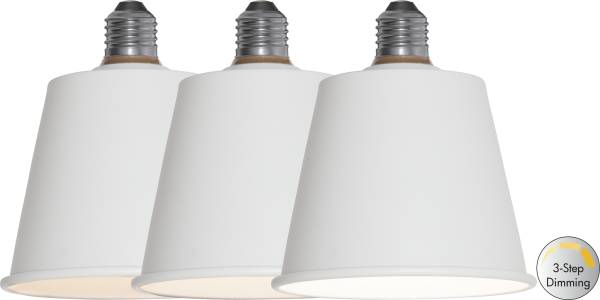 LED Leuchtmittel E27 Decoled Dream
