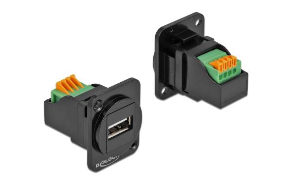 Delock D-Typ Modul USB 2.0 Typ-A Buchse zu Terminalblock