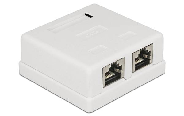 Delock Gehäuse Cat.6 LSA 2-fach