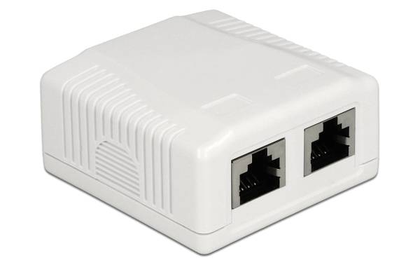 Delock Gehäuse RJ45 Cat.6A LSA 2-fach