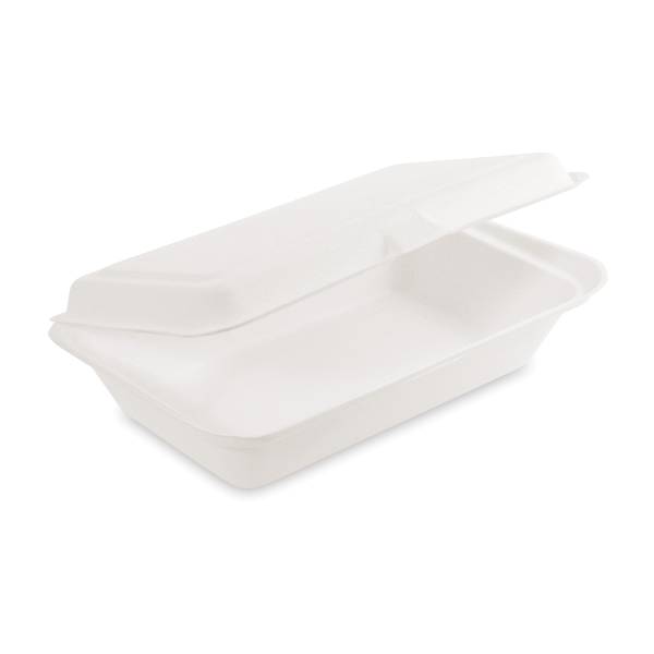 Lunch-Box Zuckerrohr-Bagasse ungeteilt 250 x 162 x 63 mm – 50 Stück